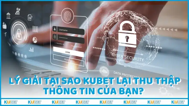 Lý giải tại sao Kubet lại thu thập thông tin của bạn? 